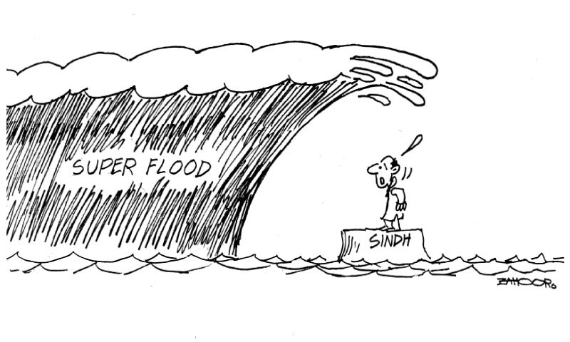 Zahoor's Cartoon