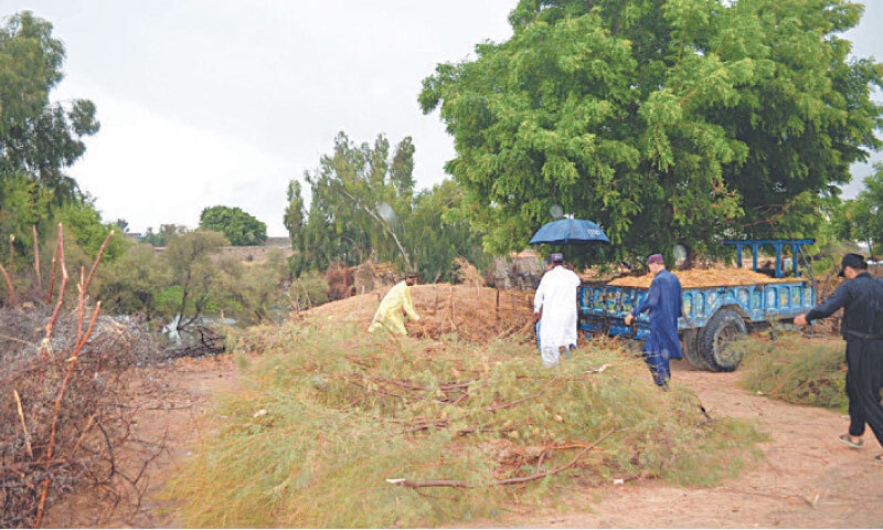 RESIDENTS of a riverine area in Kandhkot raise an improvised &lsquo;shield&rsquo; on Monday against anticipated massive deluge.&mdash;Photo by Umair Ali