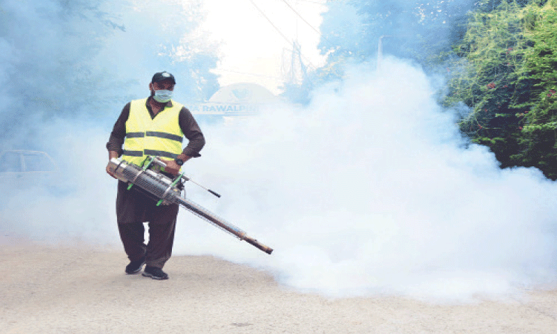 A worker of the health department carries out fumigation in a street to check the spread of dengue mosquitoes in the area in Rawalpindi on Monday. &mdash; Online