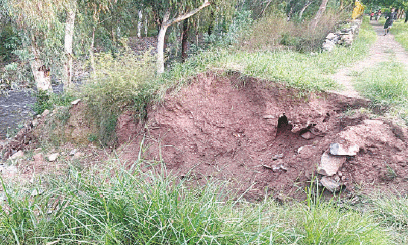 The damaged path in a park in F-11 sector. — White Star The damaged path in a park in F-11 sector. — White Star