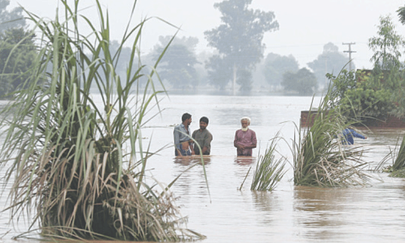 By pooling resources, federal and provincial governments can develop disaster insurance programmes tailored to specific vulnerabilities of each region.—M. Arif
