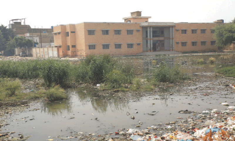 The government school building in Korangi, UC 10, is surrounded by garbage, stagnant sewage and overgrown weeds. &mdash;Shakil Adil / White Star