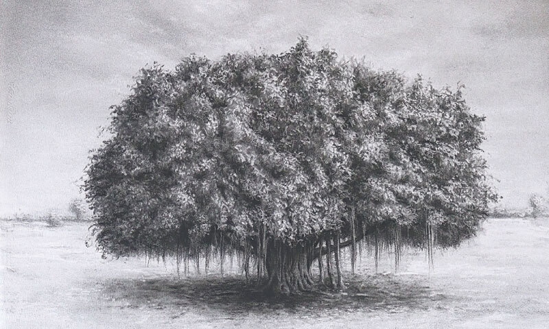The Sanctuary of Roots and Wings, Madiha Hyder