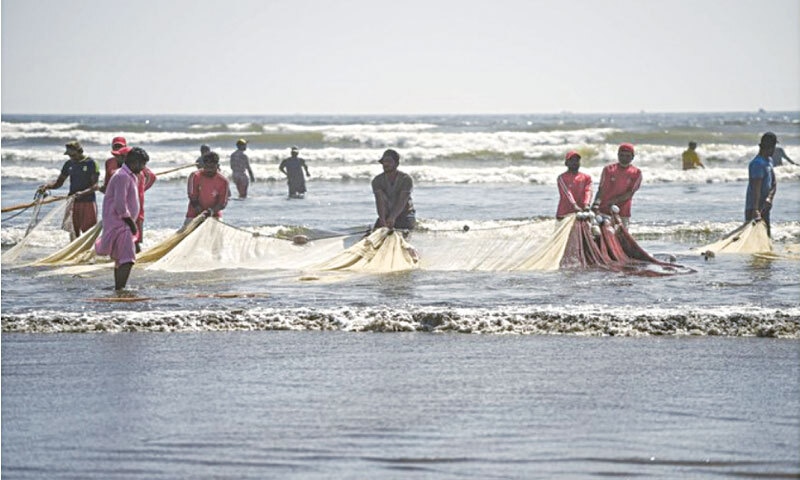 Fishermen pull a net ashore at the Clifton beach in Karachi in April 2019 | AFP