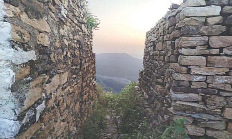 The scenic view of the ridges covered with thick forests seen from between walls of two rooms.