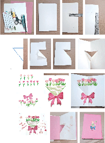 Photos by the writer