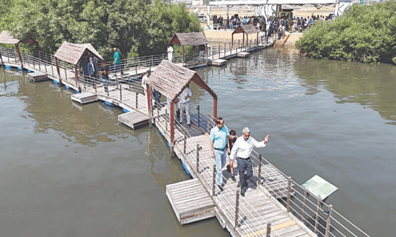 City Mayor Murtaza Wahab and officials stroll along a &ldquo;floating&rdquo; walkway constructed over a pond in the mangrove biodiversity park at Korangi Creek. &mdash;Dawn