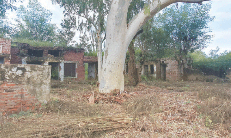 A dilapidated residence of a medical officer at Maryam Nawaz Sharif Clinic Jandala.