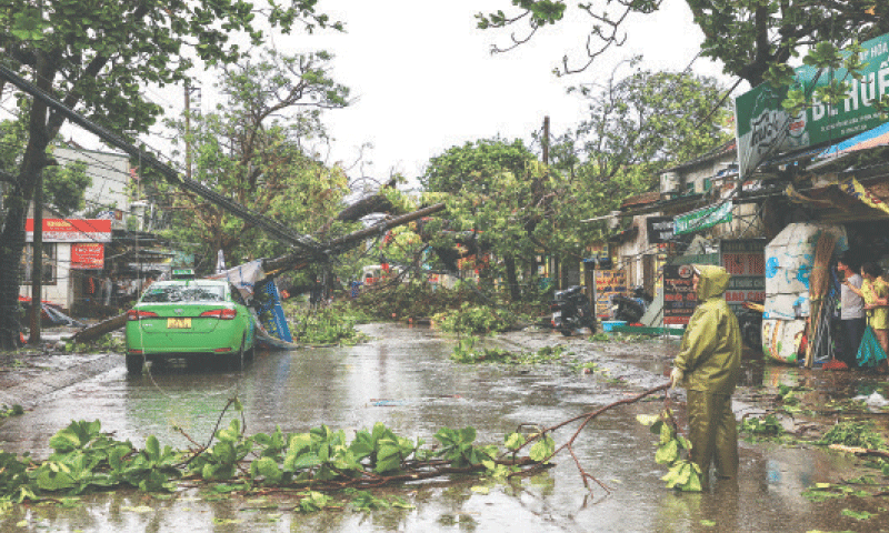 Passers-by watch as workers remove fallen trees and electric polls from a road after Typhoon Bualoi made landfall in Vietnam&rsquo;s Nghe An province. &mdash;Reuters