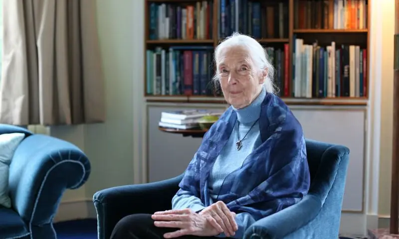A photo of the late Dr. Jane Goodall on Feb 12, 2020. &mdash; Dr_jane_goodall via X