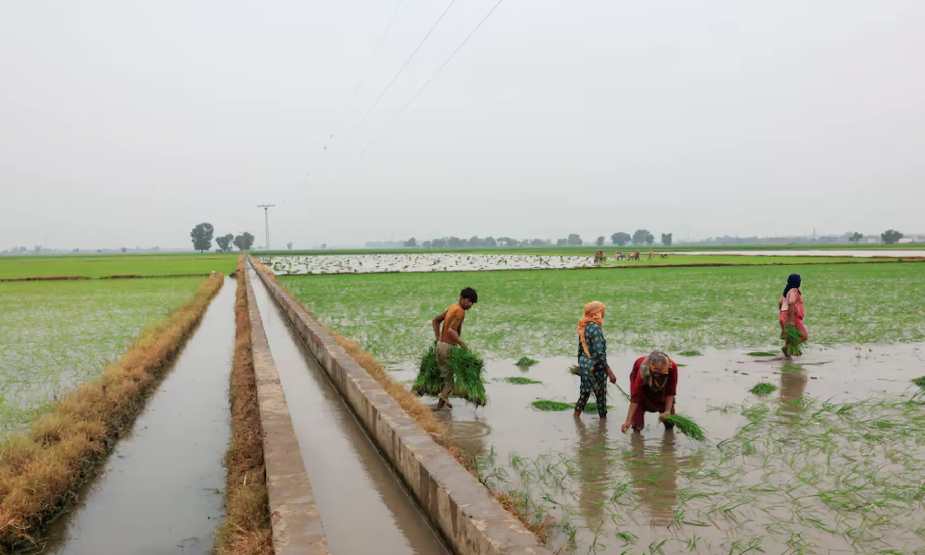 How solar-powered farming is digging Pakistan into a water catastrophe - Pakistan - DAWN.COM