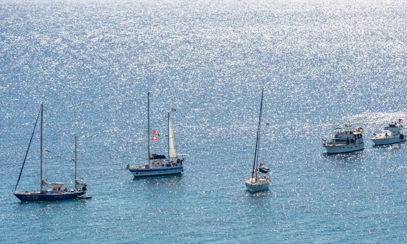 &mdash; فوٹو: سوشل میڈیا