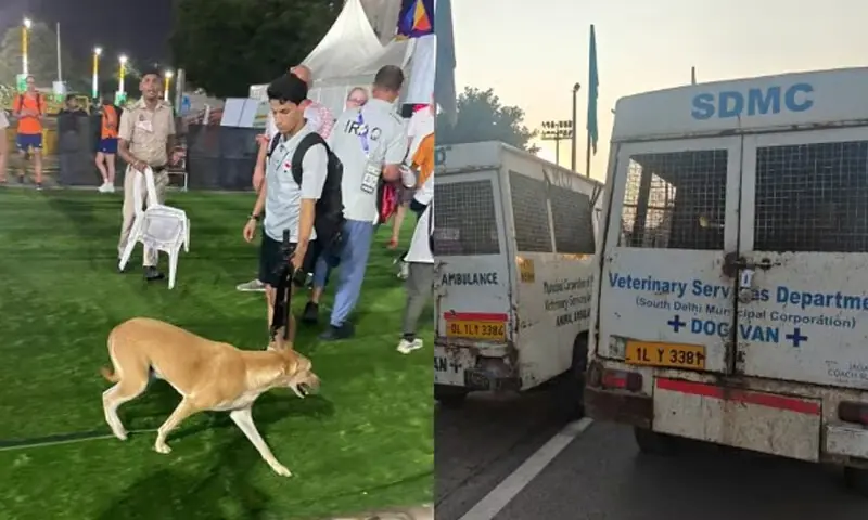 &mdash; فوٹو: انڈین ایکسپریس