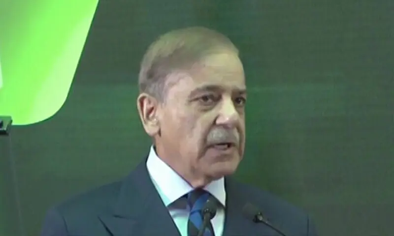 شہباز شریف نے ملائیشیا کے سرمایہ کاروں کو معدنی شعبے میں انویسٹمنٹ کی دعوت دی۔
&mdash;فوٹو: اسکرین شاٹ/ڈان نیوز