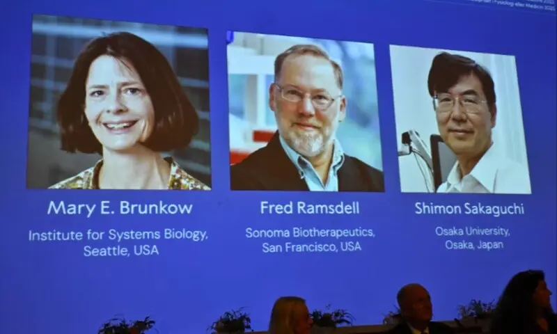 Mary E Brunkow, Fred Ramsdell and Shimon Sakaguchi are awarded this year&rsquo;s Nobel Prize in Medicine or Physiology. The Nobel Assembly at Karolinska Institutet announce the Nobel Prize in Physiology or Medicine on October 6, 2025, in Stockholm, Sweden.  &mdash; TT News Agency/Claudio Bresciani via Reuters.