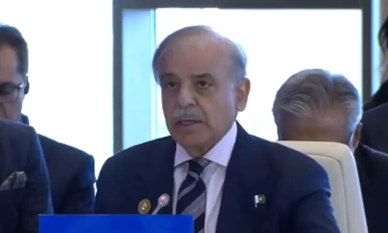 Prime Minister Shehbaz Sharif addressing the 17th ECO Summit in in Khankendi, Azerbaijan, July 4. &mdash; Screenshot via PTV