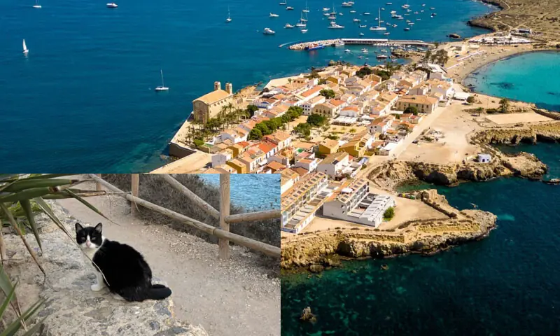 —فوٹو: سی این این —فوٹو: سی این این