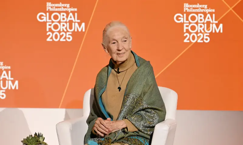 In this file photo, Jane Goodall speaks onstage at the Bloomberg Philanthropies Global Forum 2025 at The Plaza Hotel on September 24, 2025 in New York City. &mdash; AFP/File