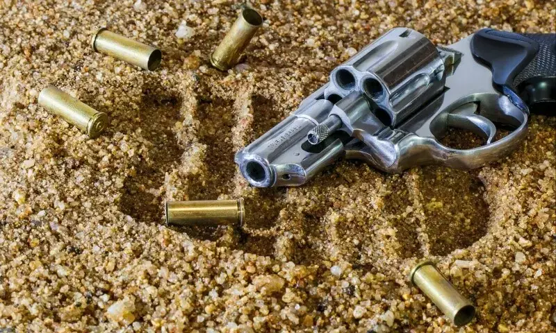 Image showing a revolver with some spent cartridges. Used for representation only. &mdash; Pixabay/ Steve Buissinne