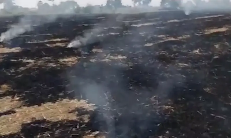 &mdash; فوٹو: واٹس ایپ چینل / مریم نواز