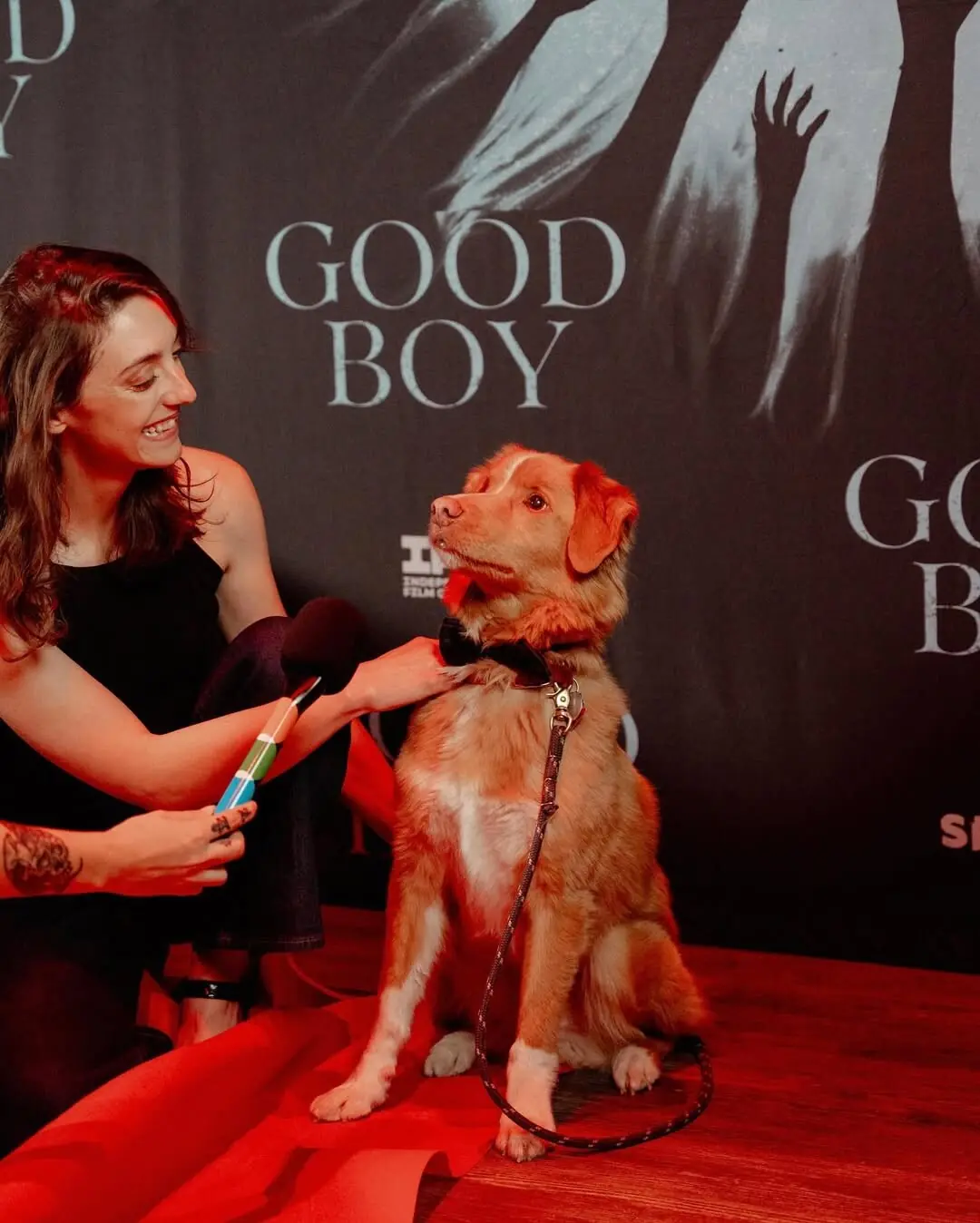  Indy speaking to the press at the New York premiere of <em>Good Boy</em> Photo: Emma Brawley via Independent Film Company/Instagram 