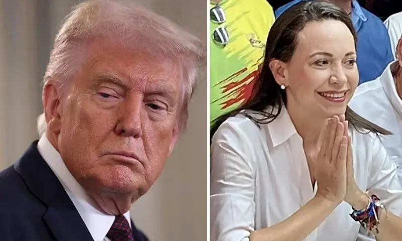 — فوٹو: وکی وینڈ