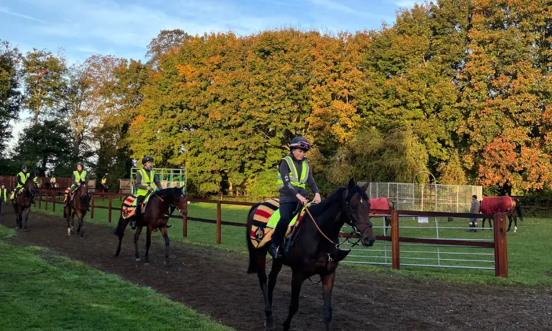 Racehorses return to trainer George Scott&rsquo;s yard after working on the gallops in Newmarket, Britain on October 7, 2025. &mdash; Reuters