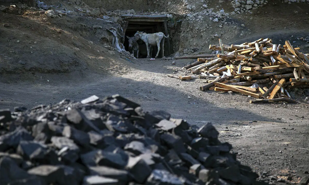 Donkeys stand at the entrance of a coal mine in Pakistan.  &mdash; Reuters/File