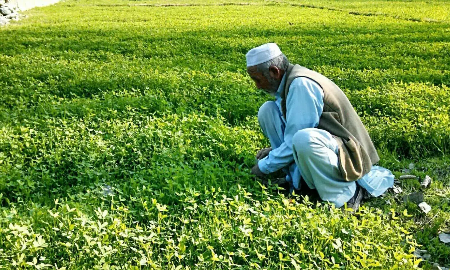 In this file photo, a farmer works in a field in Fata. &mdash;Photo Tariq Ullah/File