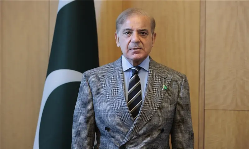 شہباز شریف نے کہا کہ فلسطینی عوام کی آزادی، وقار اور خوشحالی بنیادی ترجیح بنی رہے گی، ان شا اللہ &mdash; فائل فوٹو: انادولو