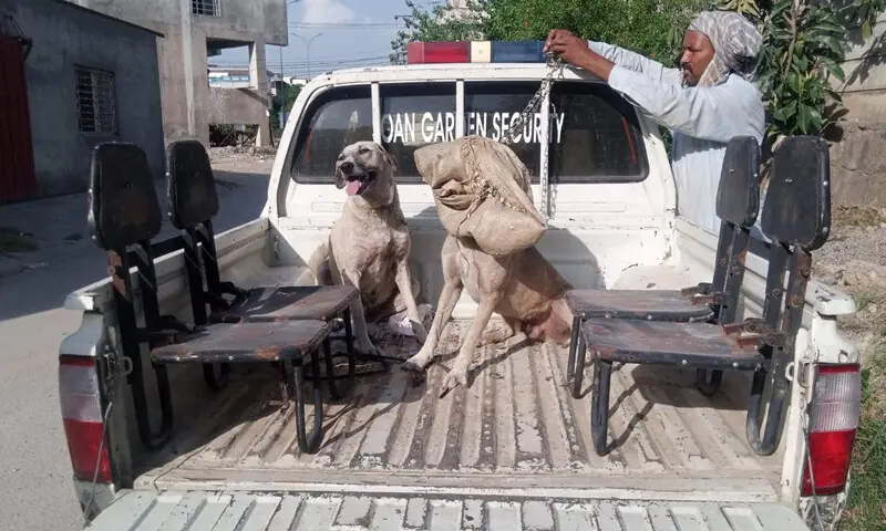 &mdash; فائل فوٹو: ڈپٹی کمشنر آفس، اسلام آباد