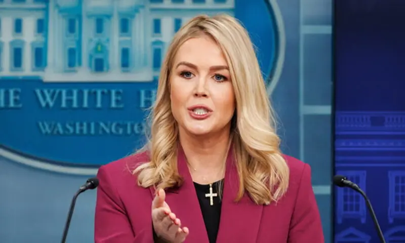 کیرولین لیویٹ نے کہا کہ &rsquo;مجھے یہ مضحکہ خیز لگتا ہے کہ تم خود کو صحافی سمجھتے ہو، تم انتہا پسند بائیں بازو کے کارکن ہو&lsquo; &mdash; فوٹو: اسکرین شاٹ