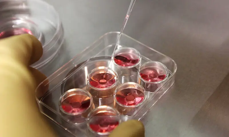 An employee demonstrates the process to extract eggs in a lab at the e-Stork Reproductive Center in Hsinchu, northern Taiwan, August 8, 2013. &mdash; Reuters/File