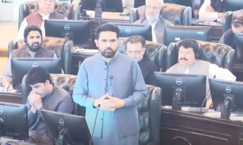 Newly-elected Chief Minister of Khyber Pakhtunkhwa Mohammad Sohail Afridi addresses the provincial assembly on Monday. &mdash; Screenshot via PTI/YouTube