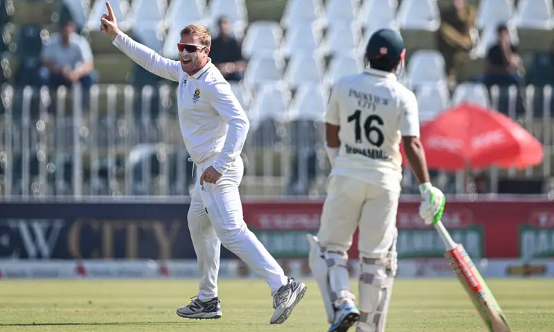 جنوبی افریقہ کی جانب سے سائمن ہرمر نے 6 کھلاڑیوں کو آؤٹ کیا &mdash; فوٹو: اے ایف پی