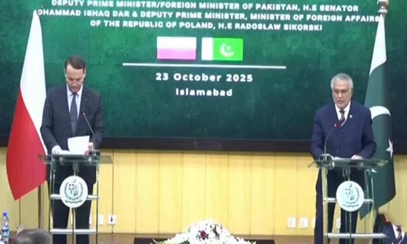 Deputy Prime Minister and Foreign Minister Ishaq Dar and his Polish counterpart, Radosław Sikorski, at a press conference in Islamabad on Oct 23. &mdash; Screengrab via FO/ X