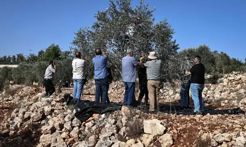 — فوٹو: اے ایف پی — فوٹو: اے ایف پی