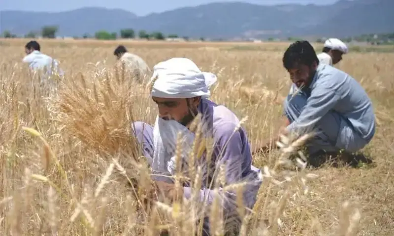 &mdash; فوٹو: اے ایف پی