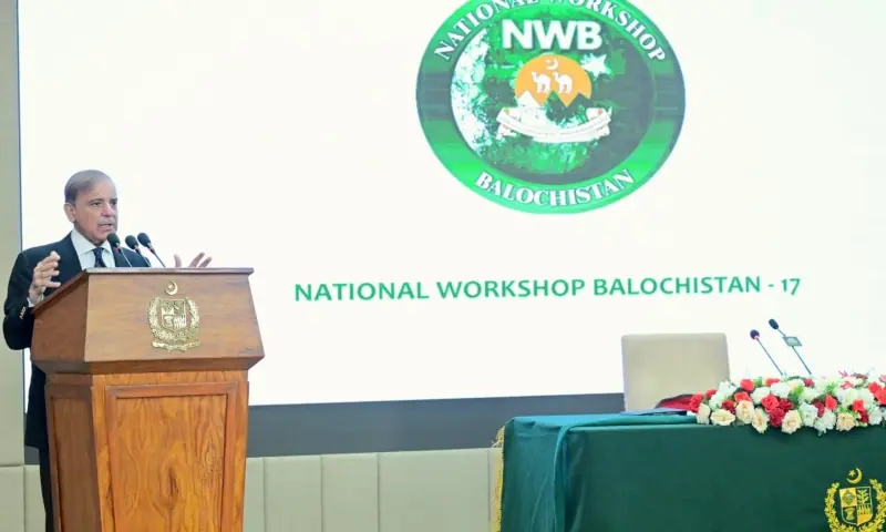 Prime Minister Shehbaz Sharif addresses the Balochistan Workshop in Islamabad on Oct 25, 2025. &mdash; X/@GovtofPakistan