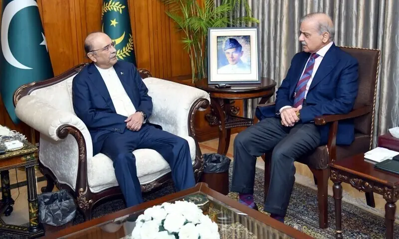 This file photo from July 2025 shows President Asif Ali Zardari and Prime Minister Shehbaz Sharif in a meeting. &mdash; Photo courtesy PPP/X