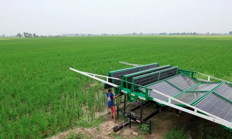 A worker installs a folding solar panel unit, to run a tube well, the motorised pump that taps groundwater, in a rice field in Muridke, Sheikhupura District in Punjab on August 12. &mdash; Reuters