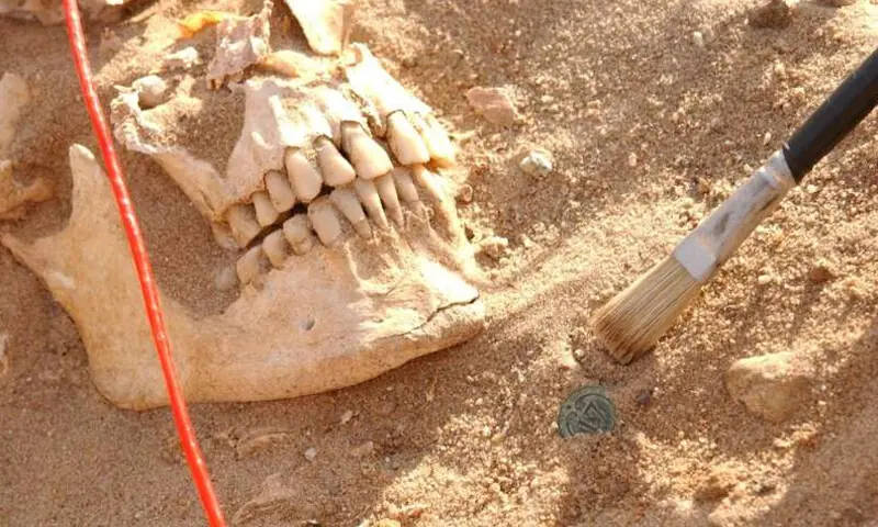 — فوٹو: فزکس ڈاٹ او آر جی — فوٹو: فزکس ڈاٹ او آر جی