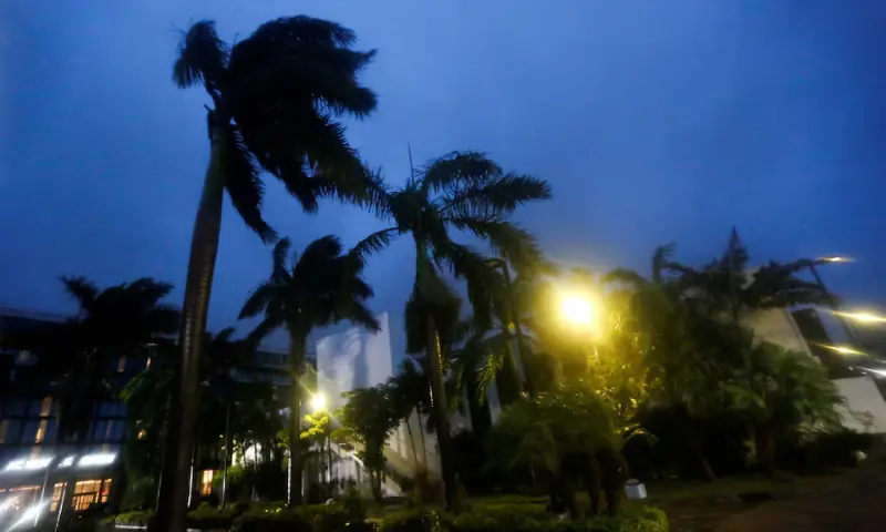 Palm trees sway as Hurricane Melissa is expected to make landfall in Kingston, Jamaica, on October 28. — Reuters