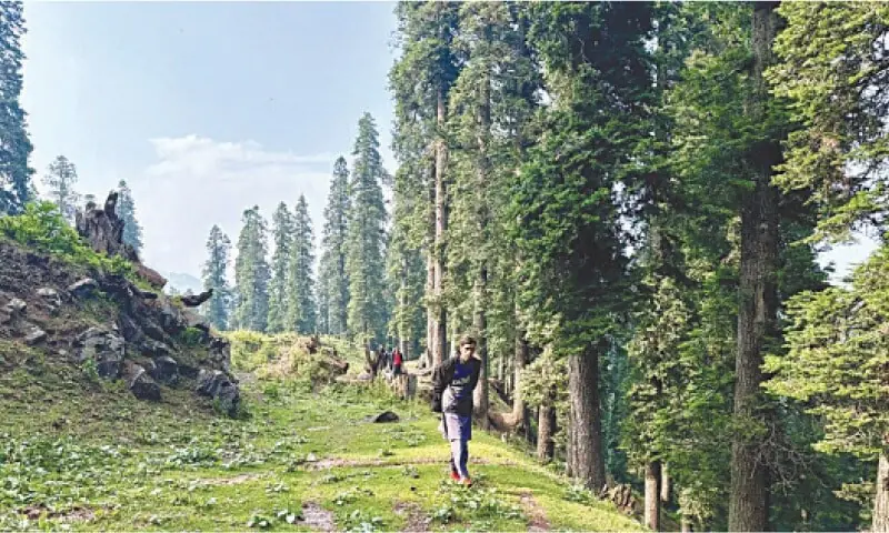 In this file photo, residents from Kanoor village, located along the main Neelum Valley Road pass through Pathiali Top on their way to Leepa Valley. — Photo courtesy Tariq Naqash In this file photo, residents from Kanoor village, located along the main Neelum Valley Road pass through Pathiali Top on their way to Leepa Valley. — Photo courtesy Tariq Naqash