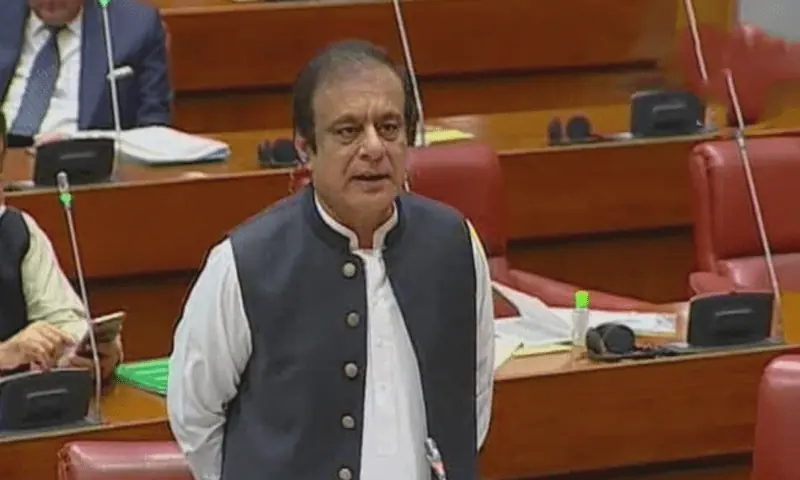 PTI leader Shibli Faraz speaks in the Senate. &mdash; DawnNewsTV/File