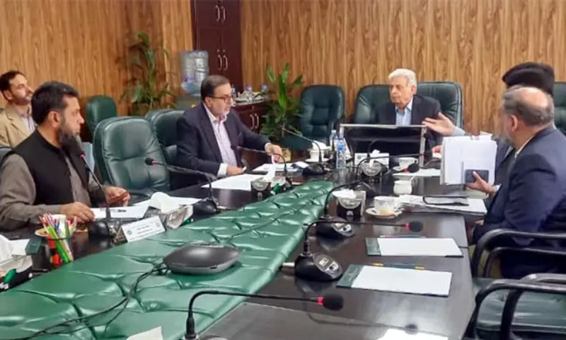 Federal Minister for National Food Security and Research Rana Tanveer Hussain chairs a virtual meeting with the UAE delegation on enhancing cooperation and investment in Pakistan&rsquo;s date sector, in Islamabad on October 29. &mdash; PID