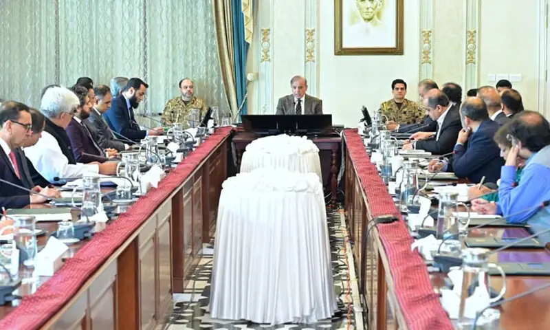 &mdash; فوٹو: پی آئی ڈی