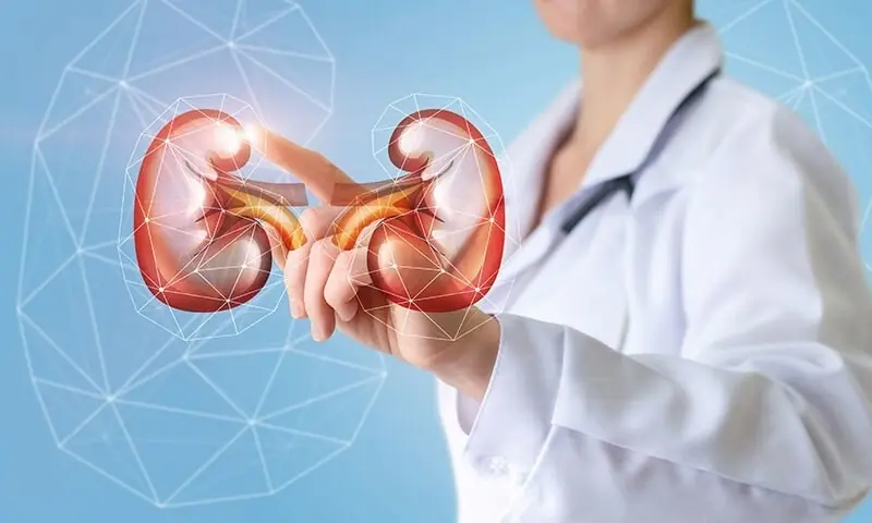 — فوٹو: شٹر اسٹاک — فوٹو: شٹر اسٹاک