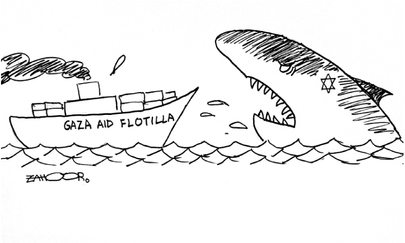 Zahoor's Cartoon