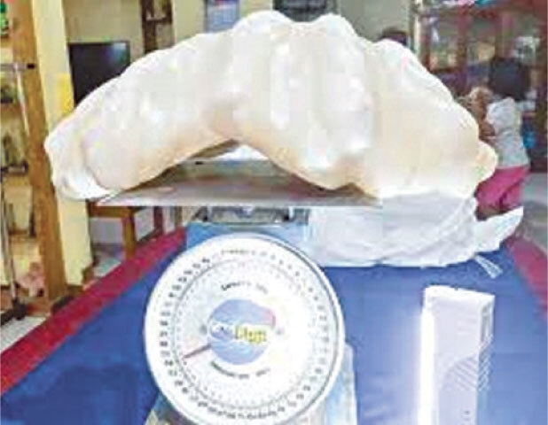 The world&rsquo;s largest pearl